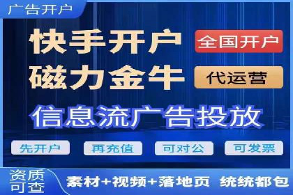 SEM广告投放策略案例分析